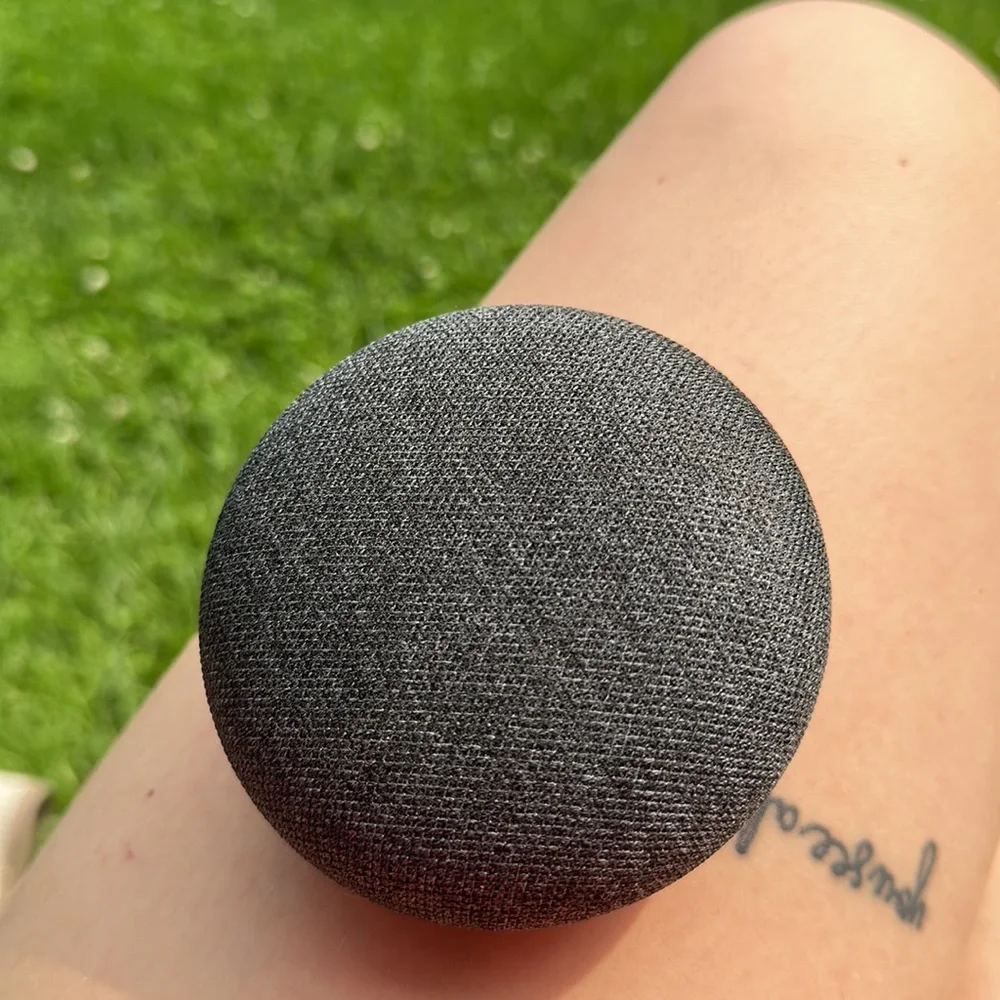 Google Home Mini